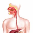 바디체인지 체형교정 이미지