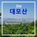 한솔화원 이미지