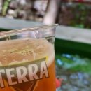 옥녀탕유원지 이미지