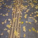 칼바람에 추워서 조금~^^;; 이미지