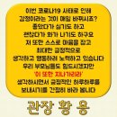 전진 태권도스쿨 이미지