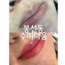 광주 봉선동 입술틴트 관리'수미다움' 반영구 잘하는 곳 내돈내산 솔직후기