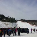 덕유산 Daum카페