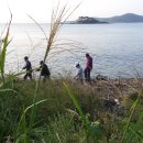 진하리조트 이미지