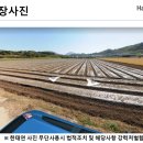 썬태양광발전소 이미지