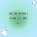 달빛기행 예약 방법 | 준비물, 후기, 꿀팁 안내