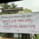 그루밍클럽