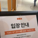캐주얼김밥 | [ 서울5대김밥 ] 구의역 김밥 맛집 유미분김밥 포장 후기, 엄마김밥부터 닭강정까지 대만족
