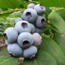 무주시크릿 이미지