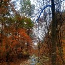 계방산 오토캠핑장 이미지