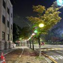 화니그릇타올 | 2025.05 기록