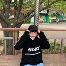 나인브로