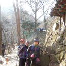 초보산꾼 추억일기 - 금오산(金烏山·977m) : 구미시민들의 자존심을 보다..(15년)