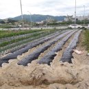 연수동사무소 이미지