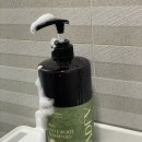 지드헤어샵 | 바디브 미오 마테 루트 샴푸, 개운하고 상쾌한 탈모샴푸 추천 후기