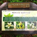서귀포자연휴양림2 Daum카페