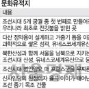 백견 이미지