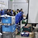 이수냉동냉동나라 | 졍의~#체험 삶의 현장