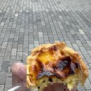 클로버. (clover)37 이미지