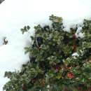 함평자연생태공원 이미지