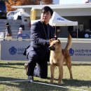 달구벌진도 이미지