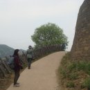 마전초(마전리) 이미지