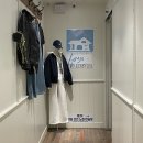 강남의류 | 강남역 뉴뉴하우스 젠지 쇼핑 후기｜의류·소품 한 번에, 선물 고르기 좋은 강남 소품샵