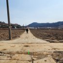 사포마을  구성마을 이미지