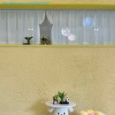 꽃길만걷개 이미지