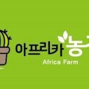 상점농장 이미지