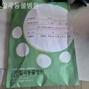 일곡동물병원 이미지