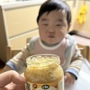 277 | D+277 ~ 278 아기요거트 첫시식 클레 후기 이유식 체험판