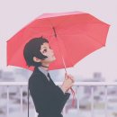 PARADISO(파라디소)