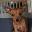 하당동행정복지센터 이미지