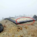 신리길L 통일뉴스