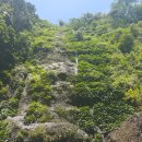 짝꿍댕이 이미지