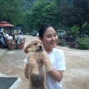 다시올민박 이미지