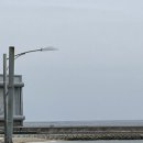 로드3521 | 아침엔 브런치, 낮엔 서핑! 양양 감성 복합카페 로드3521서프