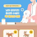 계산동물병원 이미지