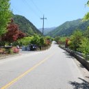 새밭민박 이미지