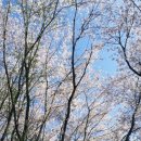 박쌤학원 이미지