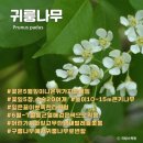 도래기재 이미지