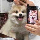 친정 | 설연휴 노량진수산시장 청양수산 포장 후기, 친정·시댁까지 완벽했던 명절