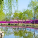 거창-거창-6 이미지