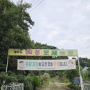 성실농장 | 서울근교 아이와가볼만한곳 제부도 모세농장 새우체험 갯벌체험 [프루떼]
