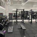 바디리핏 이미지