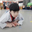강동태권도 네이버블로그