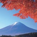 하나여행사 이미지