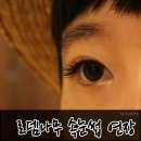 [건대] 바비인형 같은 속눈썹 연장 &lt;로뎀나무&gt; 후기