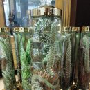 용천농장2 이미지